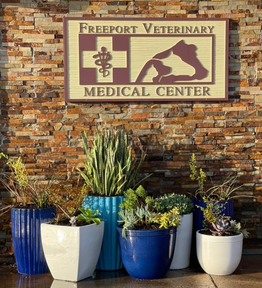 Freeport Veterinary Medical Center Building